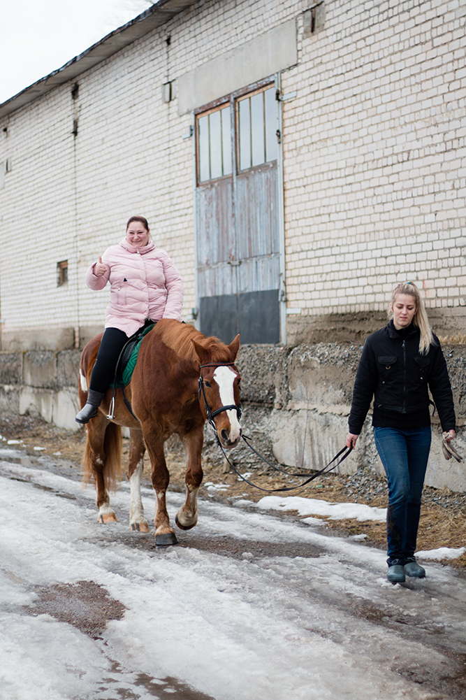 horse